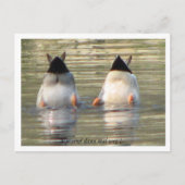 Carte Postale Vin à vent dann mal weg ! (Devant)