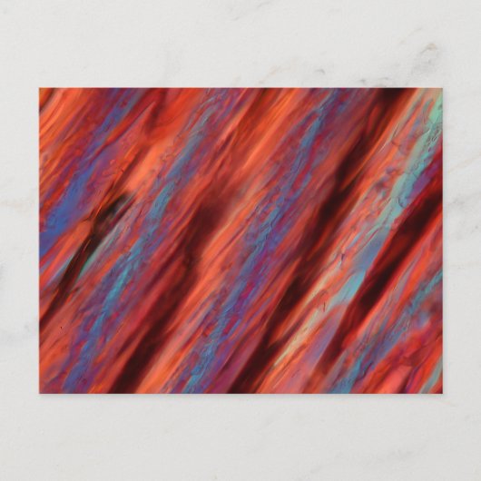 Carte Postale Vin au microscope - Pinotage (Devant)
