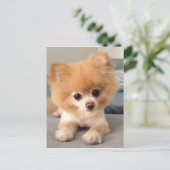 Carte Postale Vin avec une coupe fraîche (Debout devant)