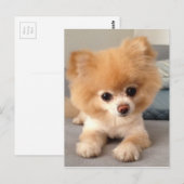 Carte Postale Vin avec une coupe fraîche (Devant / Derrière)