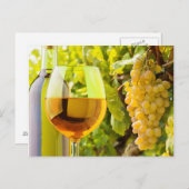 Carte Postale Vin Blanc Et Raisins (Devant / Derrière)