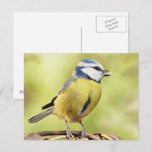 Carte Postale Vin bleu (Devant / Derrière)