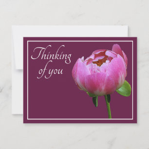 Carte Postale Vin couleur Pivoine rose, fond, Pensée pour vous