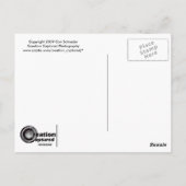 Carte Postale Vin en poste (Dos)