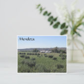 Carte Postale vin mendoza vert (Debout devant)