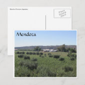 Carte Postale vin mendoza vert (Devant / Derrière)
