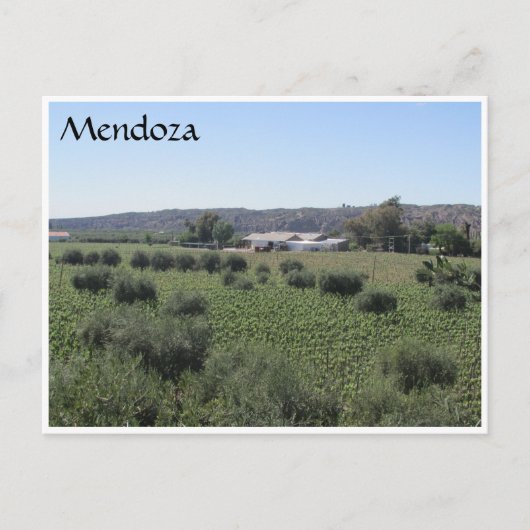 Carte Postale vin mendoza vert (Devant)