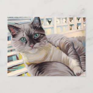 Carte postale Vincent Cat Gogh