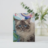 Carte postale Vincent Cat Gogh (Debout devant)