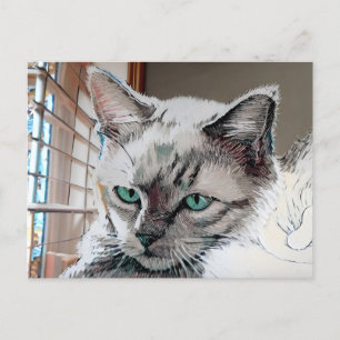 Carte postale Vincent Cat Gogh