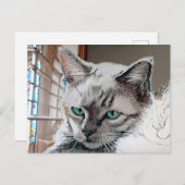 Carte postale Vincent Cat Gogh (Devant / Derrière)