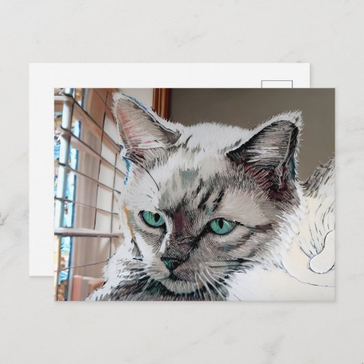 Carte postale Vincent Cat Gogh (Devant / Derrière)