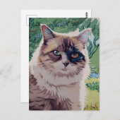 Carte postale Vincent Cat Gogh (Devant / Derrière)