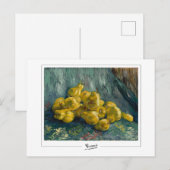 Carte Postale Vincent Van Gogh #33-3 - Beaux-Arts (Devant / Derrière)
