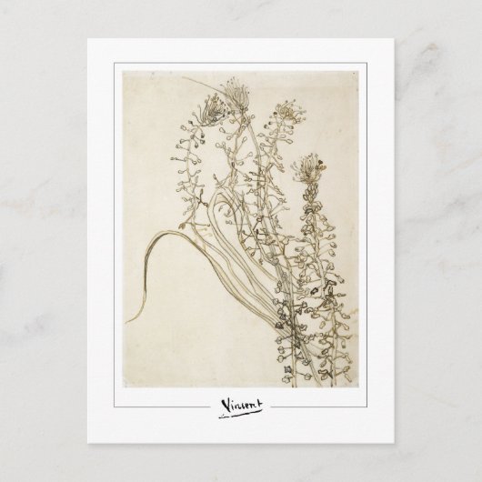 Carte Postale Vincent Van Gogh #356-3 - Art fine (Devant)