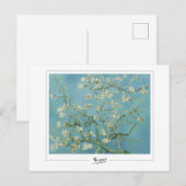 Carte Postale Vincent Van Gogh #48 - Beaux-Arts (Devant / Derrière)