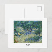 Carte Postale Vincent Van Gogh #8-3 - Beaux-Arts (Devant / Derrière)