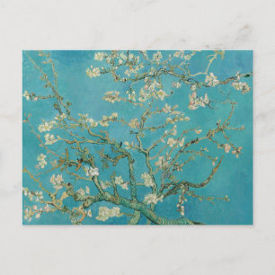 Carte postale Vincent van Gogh Almond Blossoms