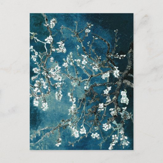 Carte Postale Vincent Van Gogh Almond Blossoms Dark Turquoise (Devant)