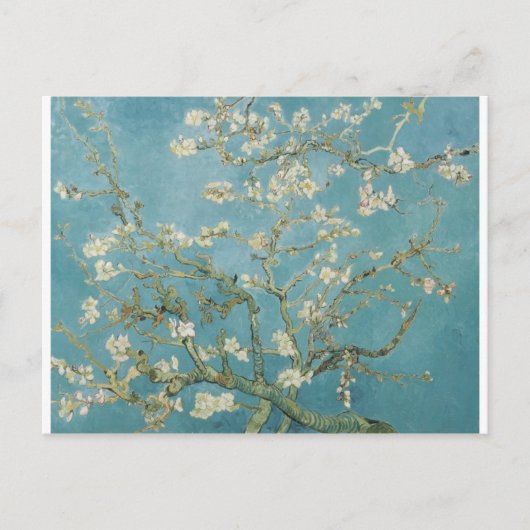 Carte Postale Vincent Van Gogh Branches d'Amandiers (Devant)