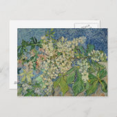 Carte Postale Vincent van Gogh | Branches de marronnier en fleur (Devant / Derrière)