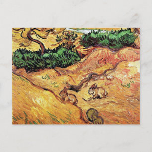 Carte Postale Vincent Van Gogh - Champ avec deux lapins Beaux-Ar