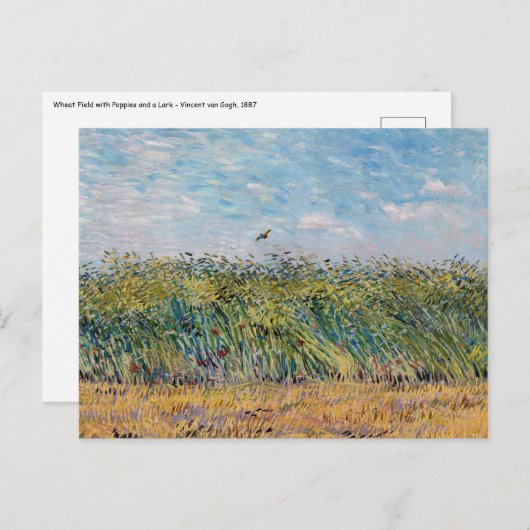 Carte Postale Vincent van Gogh - Champ de blé avec une alouette (Devant / Derrière)