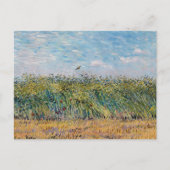 Carte Postale Vincent van Gogh - Champ de blé avec une alouette (Devant)