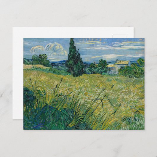 Carte Postale Vincent Van Gogh, Champ de blé vert avec cyprès (Devant / Derrière)