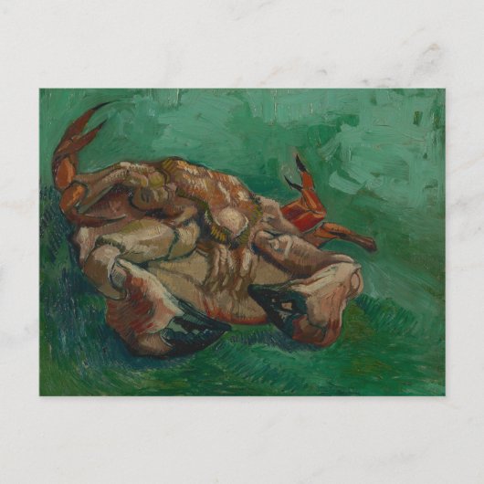 Carte Postale Vincent Van Gogh, Crabe sur le dos (Devant)
