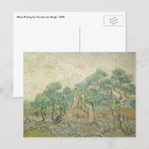 Carte Postale Vincent van Gogh - Cueillette des olives
