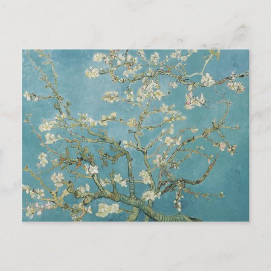 Carte Postale vincent van gogh, fleurs d'amandes (Devant)