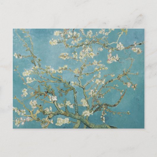 Carte Postale vincent van gogh, fleurs d'amandes (Devant)