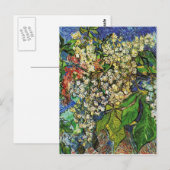 Carte Postale Vincent van Gogh-Fleurs de châtaignes (Devant / Derrière)