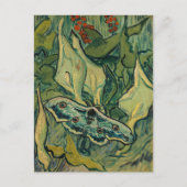Carte Postale Vincent van Gogh - Giant Peacock Moth (Devant)