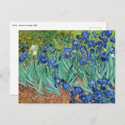 Carte Postale Vincent Van Gogh - Iris (Devant / Derrière)