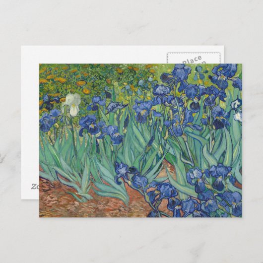 Carte Postale Vincent van Gogh - Irises (Devant / Derrière)