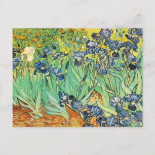 Carte Postale Vincent Van Gogh - Irises