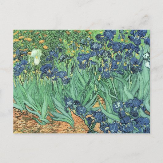 Carte Postale Vincent van Gogh | Irises, 1889 (Devant)