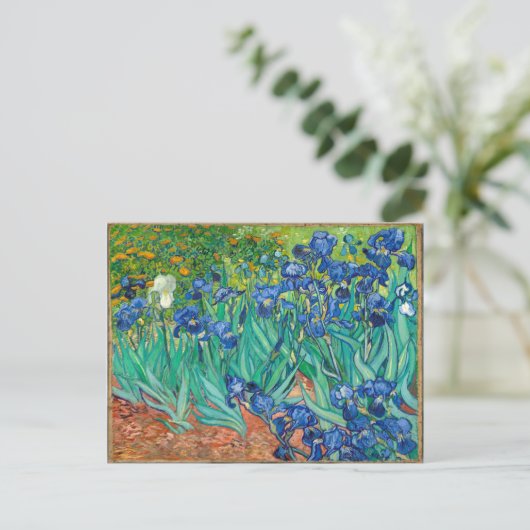 Carte Postale VINCENT VAN GOGH - Irises 1889 (Debout devant)