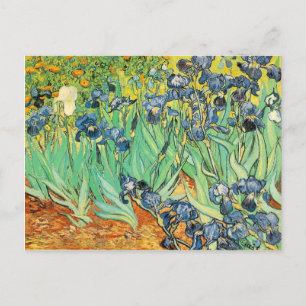Carte postale Vincent van Gogh Irises 1889 Fleurs