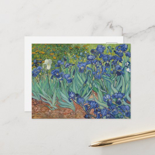 Carte Postale Vincent Van Gogh, Irises, Les Iris (Devant/Arrière en situation)