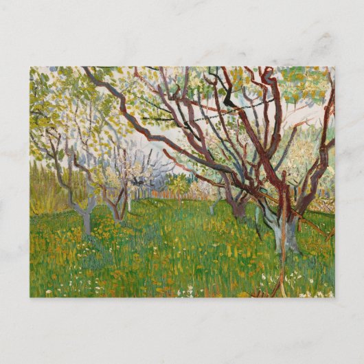 Carte Postale Vincent van Gogh - Le verger en fleurs (Devant)