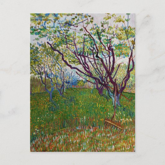 Carte Postale Vincent van Gogh - Le verger en fleurs (Devant)