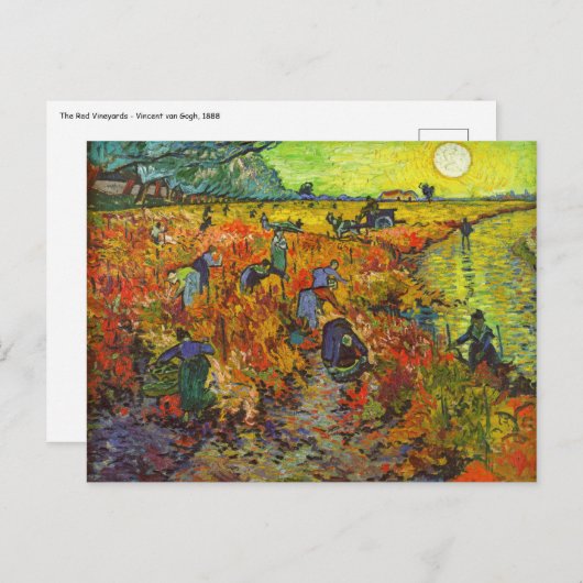 Carte Postale Vincent van Gogh - Le vignoble rouge (Devant / Derrière)