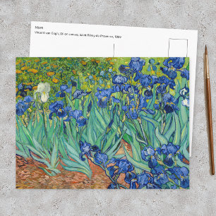 Carte Postale Vincent Van Gogh - Les Iris