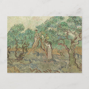 Carte Postale Vincent Van Gogh L'Orchard Olivier
