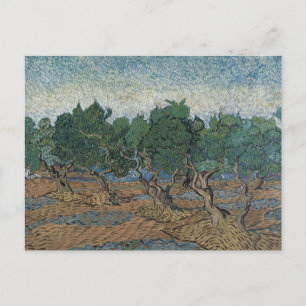 Carte Postale Vincent van Gogh - Olive Grove