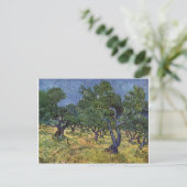 Carte Postale Vincent van Gogh - Olive Grove (Debout devant)