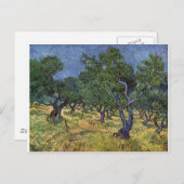 Carte Postale Vincent van Gogh - Olive Grove (Devant / Derrière)